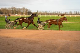 Grosbois-estate,-Drivers,-French-Trotters,-Grosbois,-Harness-racing,-Horse,-Horses,-Kaleidos,-Kaleidos-images,-La-parole-à-limage,-Marolles-en-Brie,-Sulkies,-Sulky,-Tarek-Charara,-Trotters